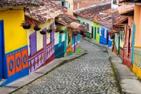Essence of South America