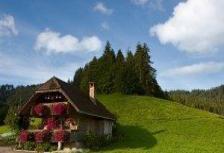 Cycling Along the GoldenPass Line (First Class) tour