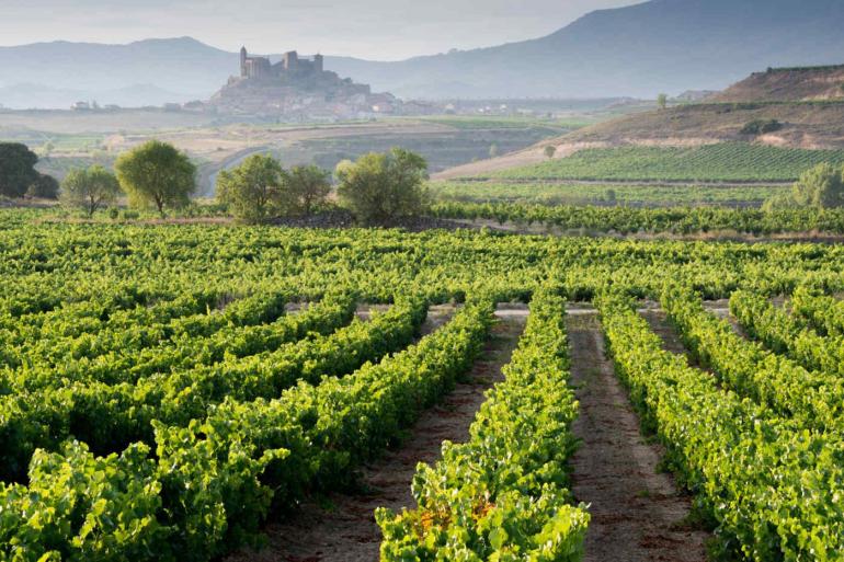 Cultural Culture Spain's Wine Regions package