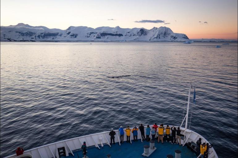 Nature & Wildlife Wildlife viewing Best of Antarctica (Ocean Endeavour) package