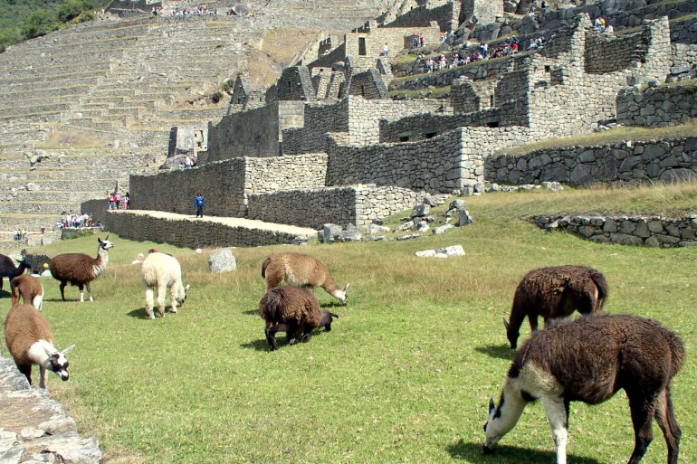 rei adventures machu picchu