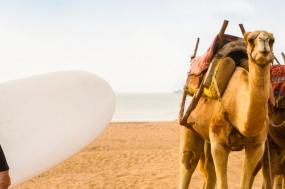 One Week in Morocco