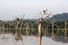 Natural Wonders of Sri Lanka