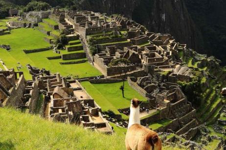 Machu Picchu by Hiram Bingham Train Experience - Independent tour