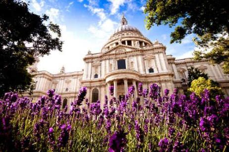 Highlights of London tour
