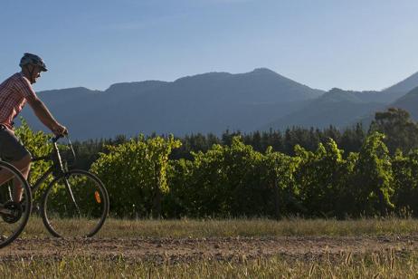 Cycle the Victorian High Country: Beechworth to Bright tour