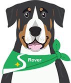 Rover