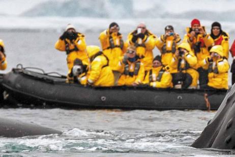 Crossing the Circle via Falklands & South Georgia tour