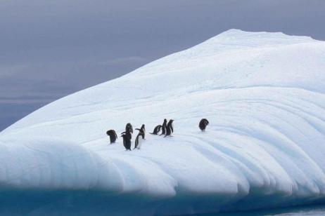 Antarctic Explorer from Ushuaia 11 day