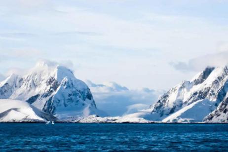 Antarctic Peninsula, Falkland Islands & South Georgia from Ushuaia tour