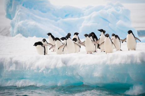 Journey to Antarctica: The White Continent aboard the National Geographic Explorer