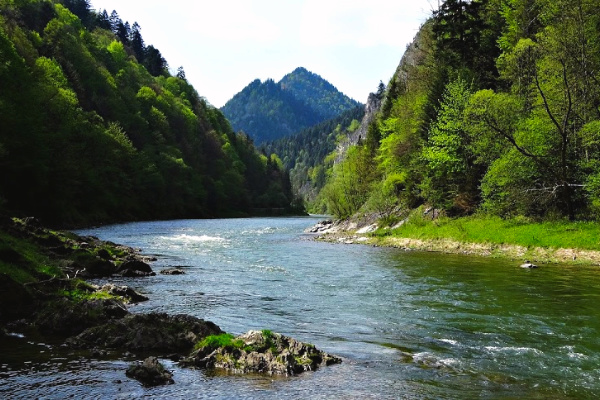 Dunajec River in Slovakia