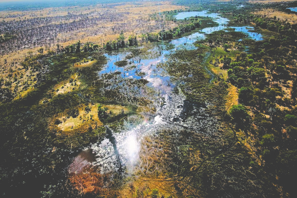 Overview aerial view of Okavango Delta in Botswana