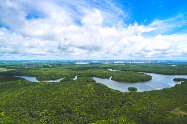 Amazon Rainforest and river in Brazil
