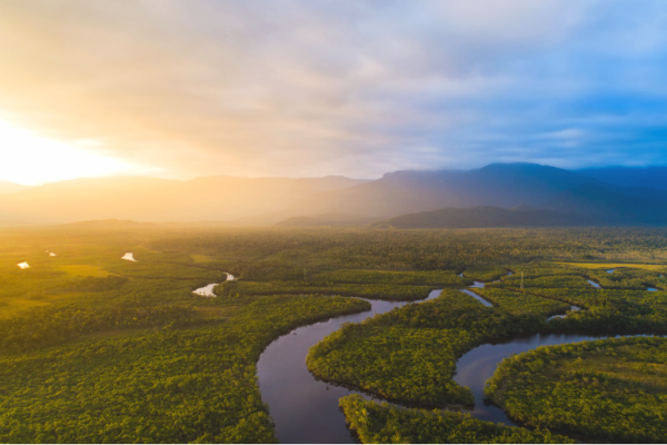 Beautiful overview shot of Amazon River and Rainforest at sunset 