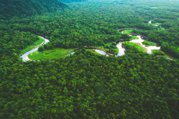 Beautiful aerial view of amazon river and rainforest in Brazil