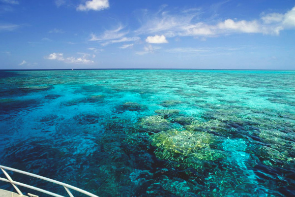 snorkeling trip on Great Barrier Reef in Australia