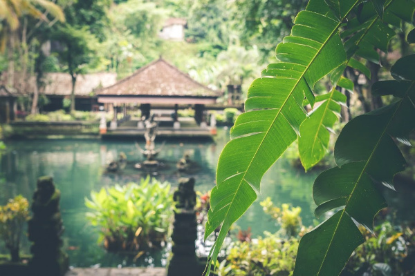 A Balinese pool surrounded by green leaves and statues