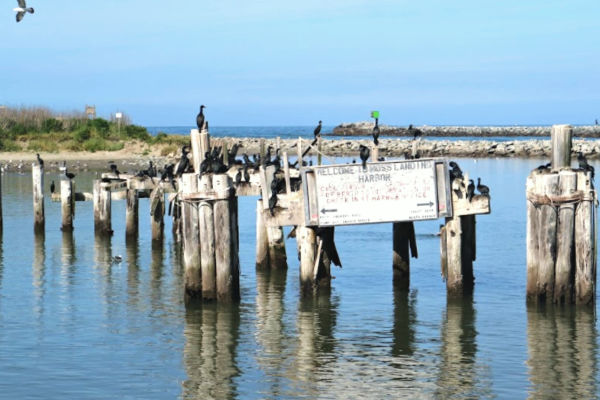 a sign in the water in the daytime