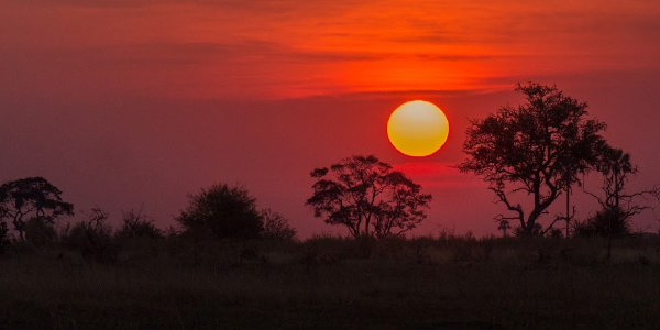 Bright red African sunset in botswana