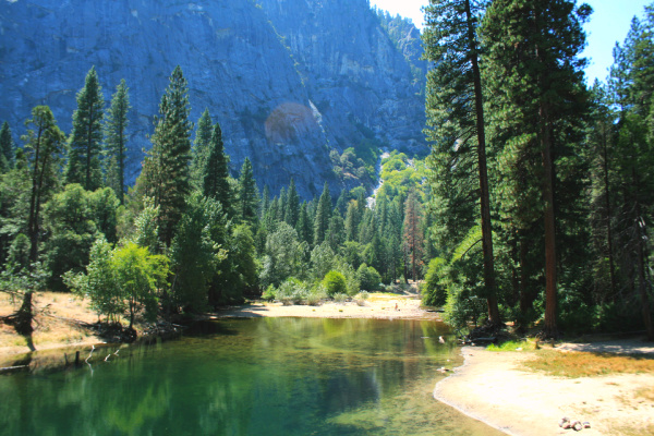 Camping in Yosemite National Park