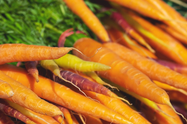 fresh produce from community garden