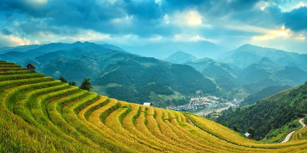 China landscape with rice paddies Wendy Wu Tour