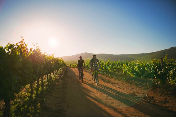 Biking in the Rhone Valley with Butterfield and Robinson