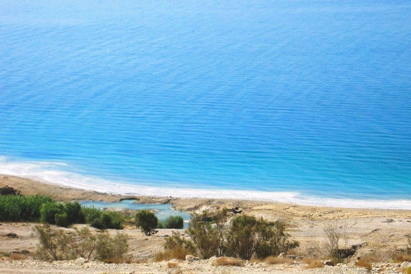 Dead Sea swimming