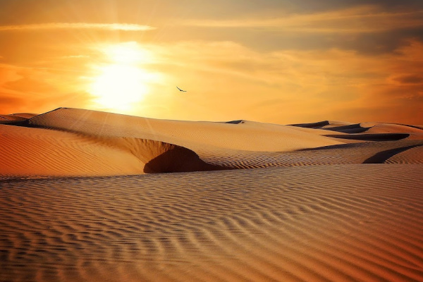 Desert photograph of sunset