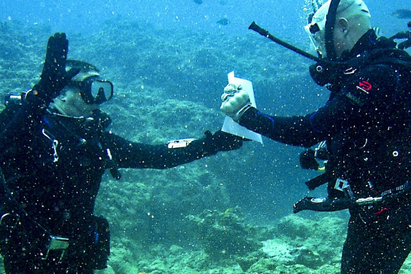 Divers with evidence under water excavation