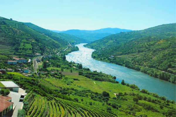 Douro River Winetasting