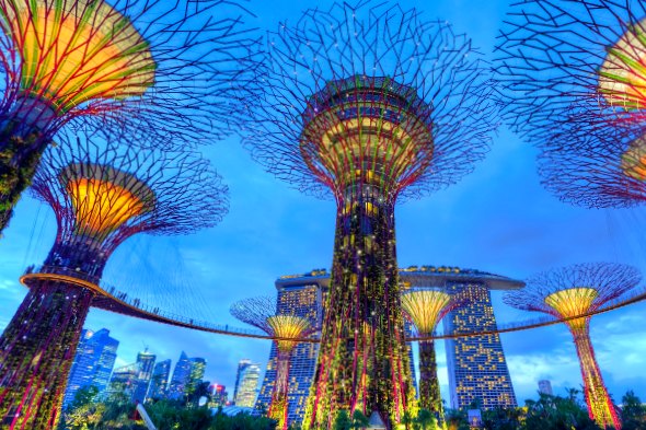 Singapore light garden