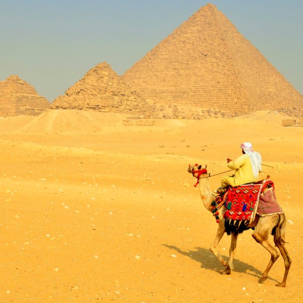 Camel and Pyramids in Egypt