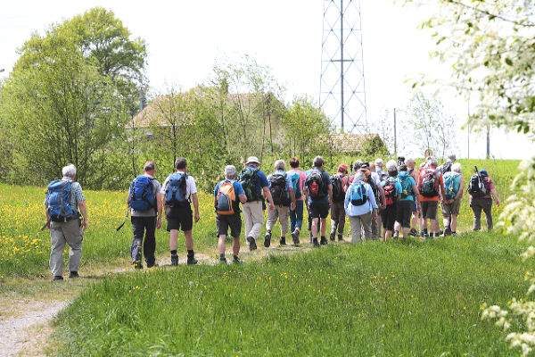 group of seniors hiking in a park with backpacks