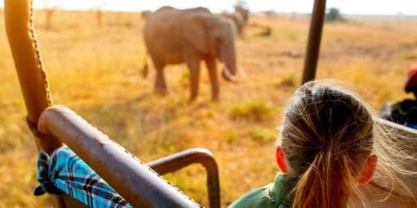 Young girl on safari in Africa