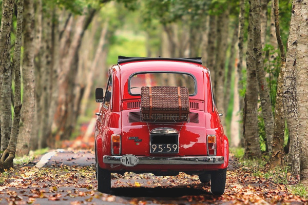 Fiat on road in fall