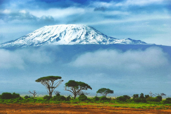 Full snow at the top of Kilimanjaro in Tanzania