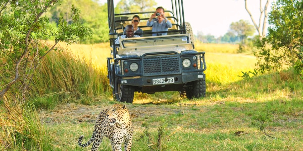 Group on a private african safari