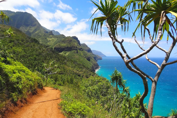 Hawaiian Islands hike overlooking the ocean