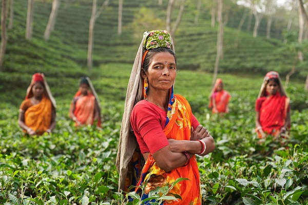 Five women wearing traditional Indian clothing in the fields looking at the camera