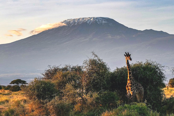 Mount Kilimanjaro