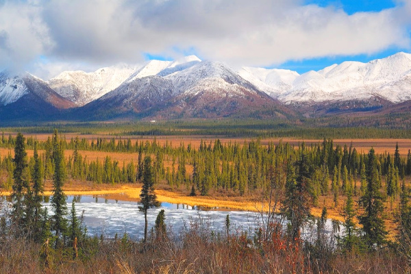 Alaska landscape