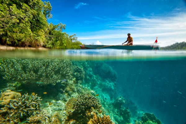 Indonesia ocean surface and below