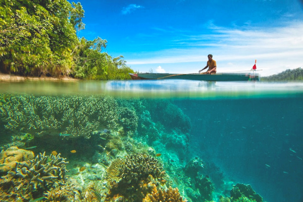 Man in boat on tropical waters