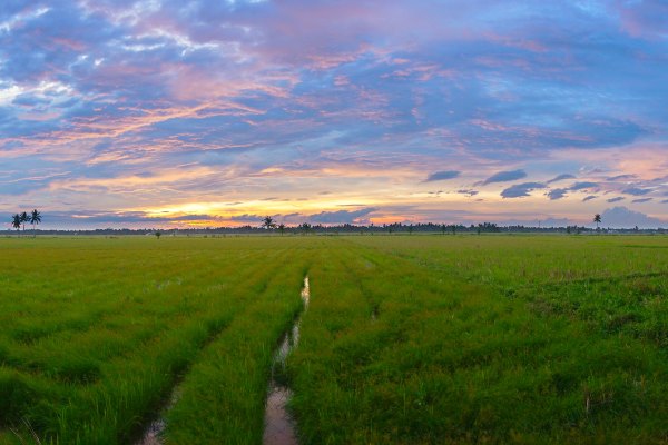 Indonesia sunset