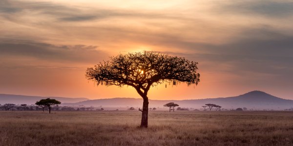 Africa sunset on luxury safari