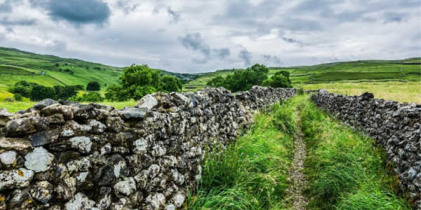 Stone wall in English Countryside