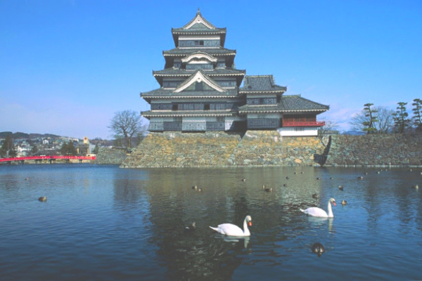 Matsumoto castle and moat with swans in Japan