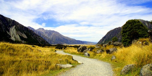 Hiking in Mount Cook New Zealand trafalgar tour